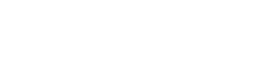 Vanessa Vale Team logo